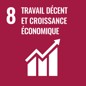 ODD Travail dÃ©cent et croissance Ã©conomique
