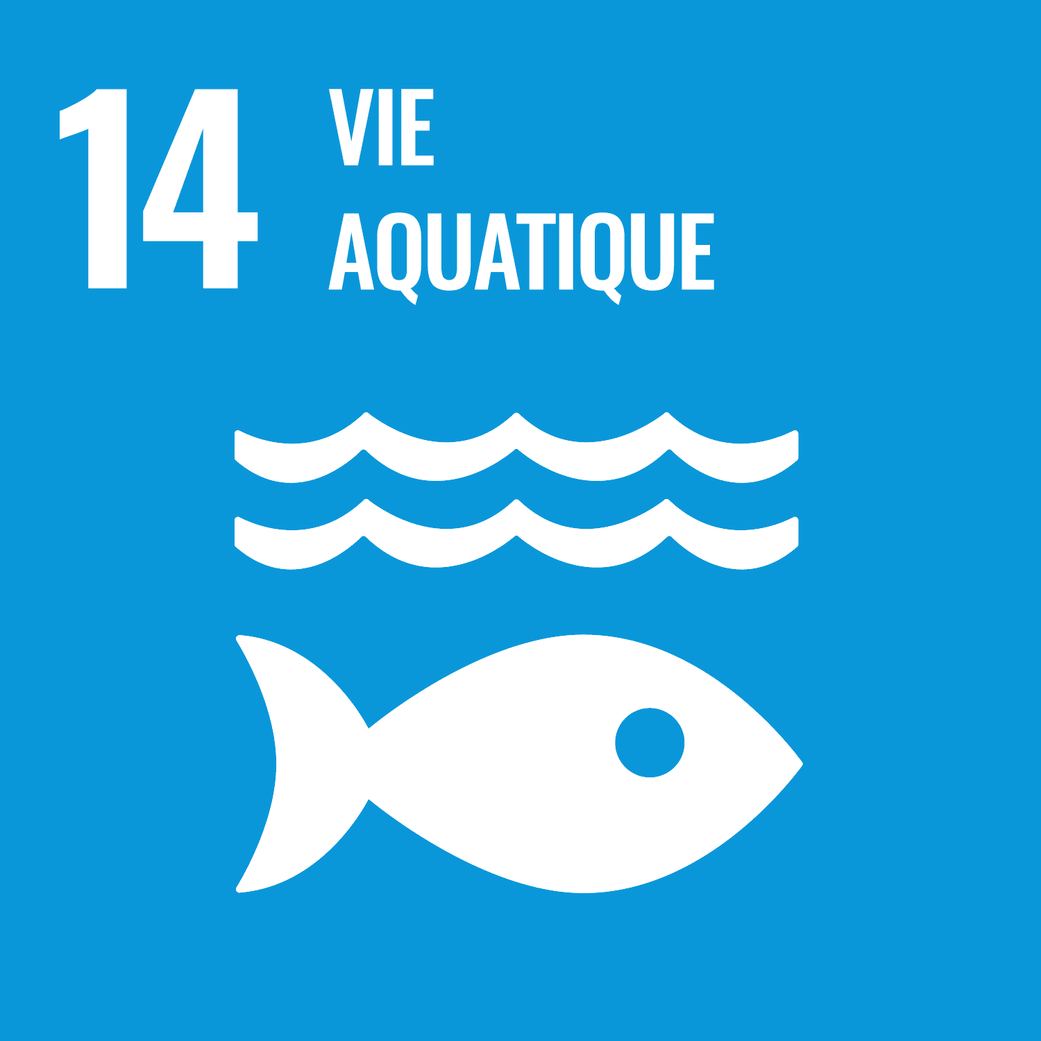 ODD vie aquatique